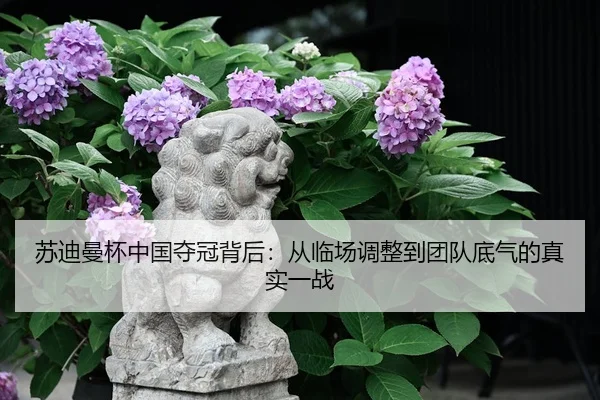 su-di-man-bei-zhong-guo-duo-guan-bei-hou-cong-lin-chang-tiao-zheng-dao-tuan-dui-di-qi-de-zhen-shi-yi-zhan-2-361.jpg
